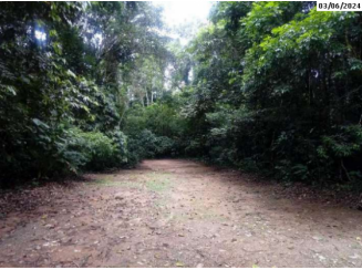 Terreno - 1.466,01m² - Caraguatatuba/SP