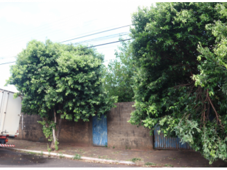 Casa/edícula 90m² - Terreno 250m² - Ourinhos/SP