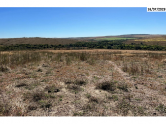 Grande Fazenda - 567 hectares - Cristalina/GO