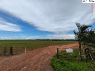 Fazenda c/ 139,66 ha - c/ benfeitorias - Edealina/GO