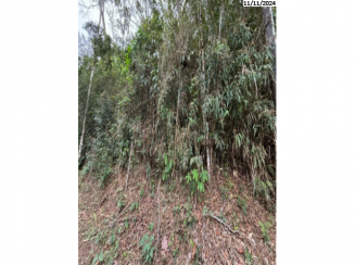 Terreno • Distrito De Teresópolis/RJ