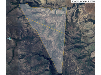 Fazenda com 384,52 hectares - Buritis/MG
