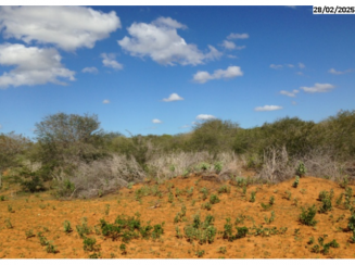 Fazenda c/ 204 hectares - Parazinho/RN
