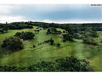 Fazenda c/ 181,40ha - Senhor Darci Ribeiro - Pedro Gomes/MS