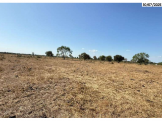 Fazenda c/ 3.921,16 hectares - Cocalinho/MT