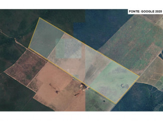 Fazenda c/ 393 hectares - Brasnorte/MT