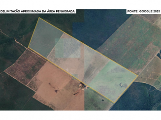 Fazenda c/ 393 hectares - Brasnorte/MT