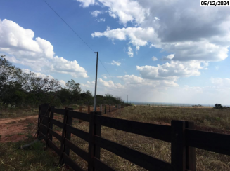 Fazenda com 393 hectares em Brasnorte/MT