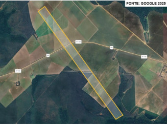 Fazenda c/ 240 hectares - Brasnorte/MT