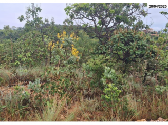 Terreno - 2.000m² - Jaboticatubas/MG