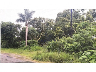 Terreno- 34.918m² - Cabo de Santo Agostinho/PE
