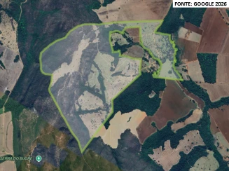 Fazenda c/ 226,7945 ha - Vianópolis/GO
