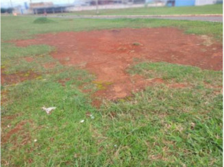 Terreno com 437,50m² - Samambaia/DF
