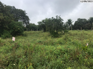 Terreno - 180m² - São Gonçalo dos Campos/BA