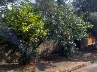 Casa - São Simão/SP