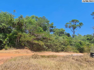 Fazenda - 2.481,66 hectares - Juara/MT