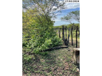 PARTE IDEAL de Fazenda - 27,00ha - Janduís/RN