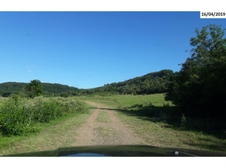 Fazenda - 114,1756 hectares - Jataizinho/PR