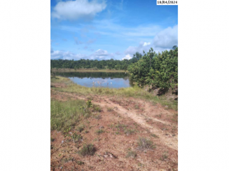 Fazenda c/ 100,9418ha - Nossa Senhora do Livramento/MT