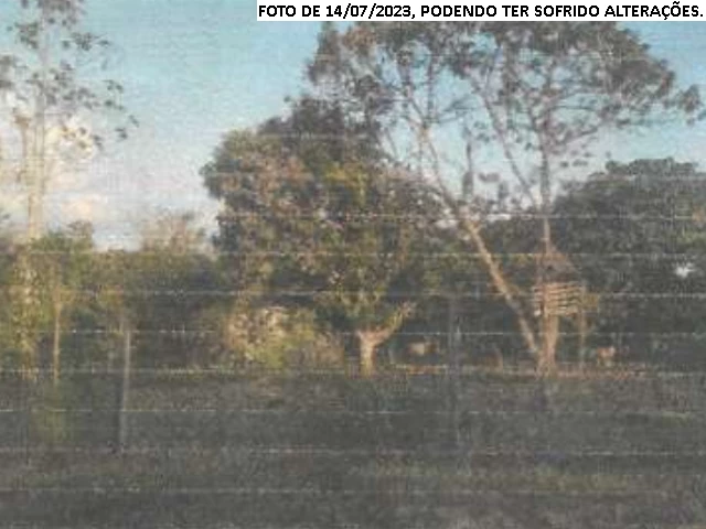 Gleba no Seringal Empresa (foto 8 de 10)