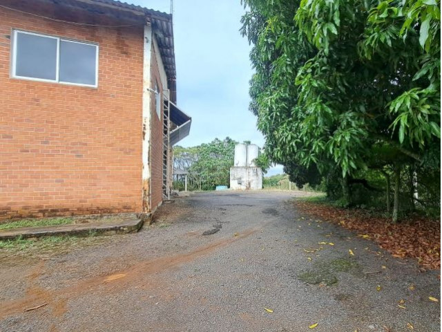 Galpão (foto 10 de 12)