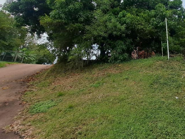 Galpão (foto 11 de 12)