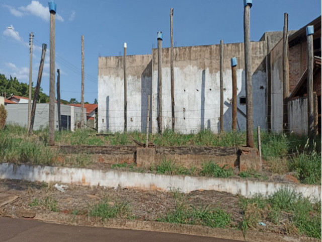 Terreno no São Benedito (foto 4 de 4)