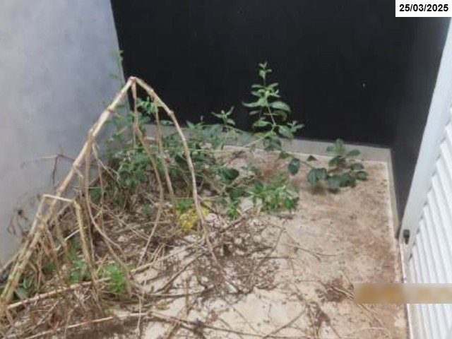 Casa com 2 quartos no Loteamento Prolongamento do Jardim Ângela Rosa II (foto 27 de 41)
