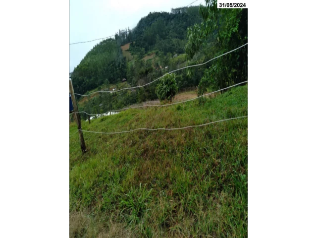 Gleba no Itaió (foto 2 de 5)