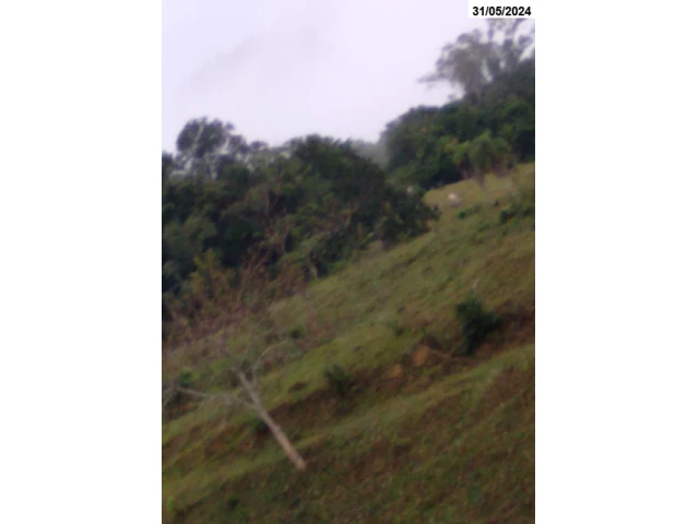 Gleba no Itaió (foto 4 de 5)