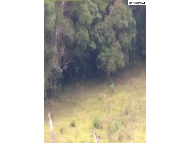 Gleba no Itaió (foto 5 de 5)