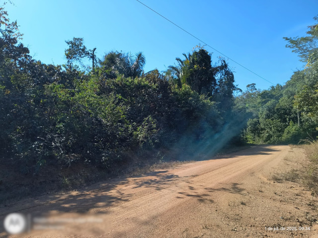 Sítio c/ 97,9969 hectares - Rio Crespo/RO