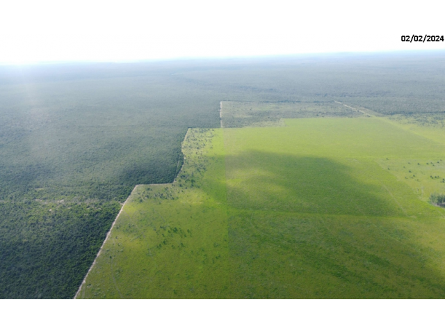 Foto Capa: LEILÃO DA JUSTIÇA ESTADUAL DE CAMPO NOVO DO PARECIS/MT - 2ª VARA