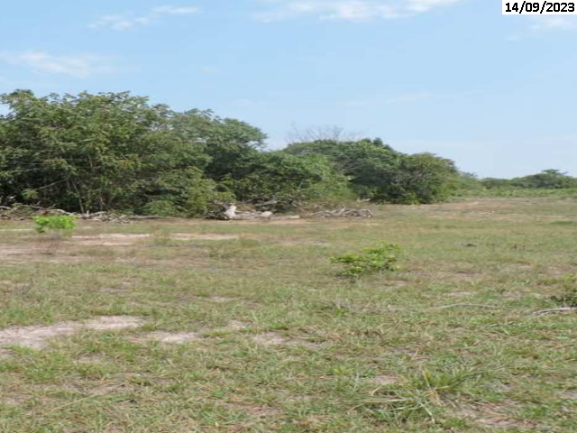 Foto Capa: LEILÃO DA JUSTIÇA ESTADUAL DE PARAÍSO DO TOCANTINS/TO - 1ª VARA CÍVEL