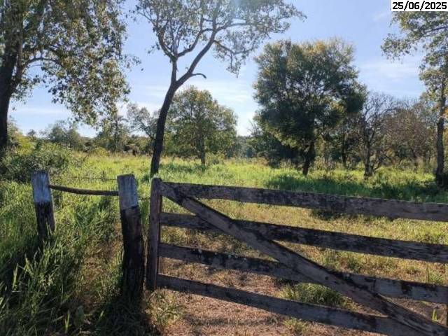 Foto Capa: EXTRAJUDICIAL - COOPERATIVA DE CRÉDITO, POUPANÇA E INVESTIMENTO PANTANAL DO MATO GROSSO DO SUL – SICREDI PANTANAL/MS