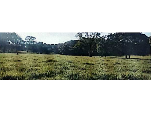 I_17160_055464_A.jpg