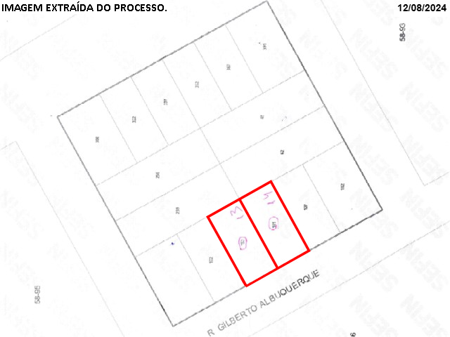 miniatura-1