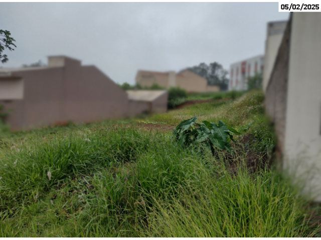Foto Capa: LEILÃO DA JUSTIÇA ESTADUAL DE APUCARANA/PR - 1ª VARA DA FAZENDA PÚBLICA
