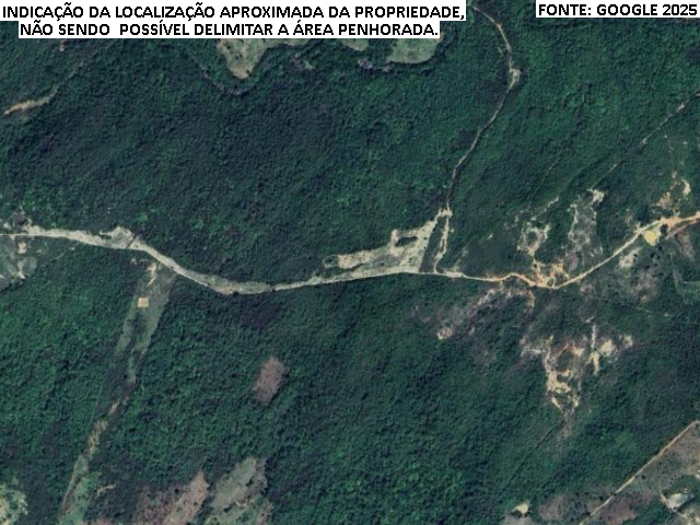 Foto Capa: Salinas/MG | Sítio - 81,6955 Hectares