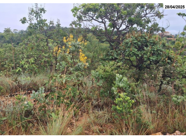 Foto Capa: Jaboticatubas/MG | Terreno - 2.000m²