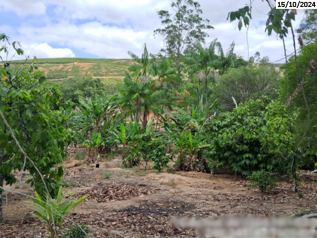 Chácara c/ 36.012,50m² - c/ benf. - são gabriel da palha/es - foto 15