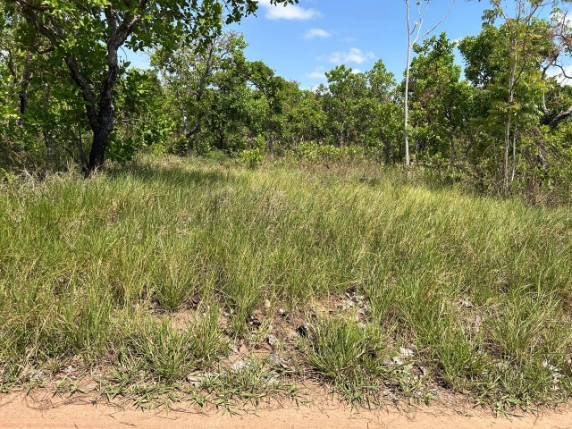 Foto Capa: LEILÃO DA JUSTIÇA ESTADUAL DE SORRISO/MT - 2ª VARAL CÍVEL