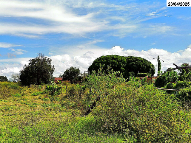 Foto Capa: LEILÃO DA JUSTIÇA ESTADUAL DE MONTES CLAROS DE GOIÁS/GO - VARA CÍVEL