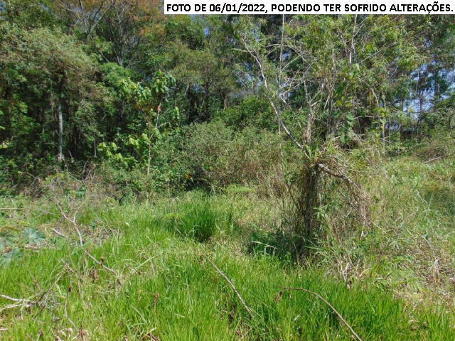 Terreno no Estiva (foto 6 de 12)