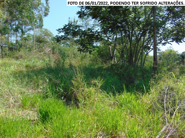 Terreno no Estiva (foto 7 de 12)