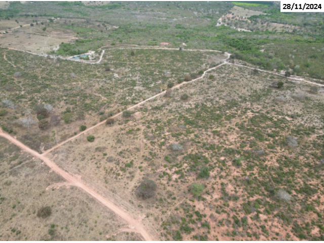 Foto Capa: TRIBUNAL REGIONAL DO TRABALHO DA 18ª REGIÃO - JUÍZO DE EXECUÇÃO