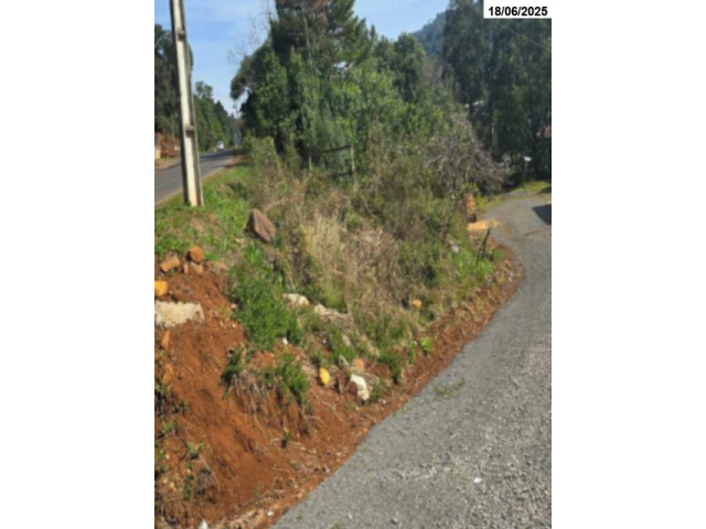 Terreno (foto 3 de 5)