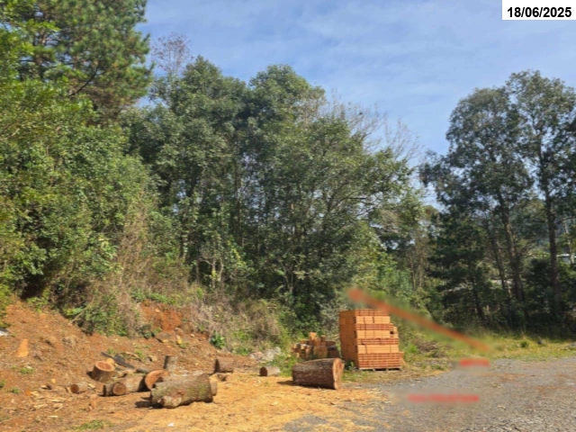 Terreno (foto 4 de 5)