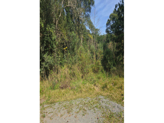 Terreno c/ 428,32m² - Rua Projetada