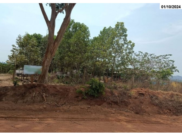 Foto Capa: LEILÃO DA JUSTIÇA ESTADUAL DE SÃO MIGUEL DO GUAPORÉ/RO - 1ª VARA GENÉRICA